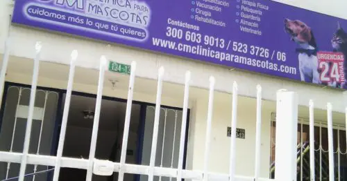 C M CLINICA PARA MASCOTAS BOGOTÁ C M CLINICA PARA MASCOTAS BOGOTÁ